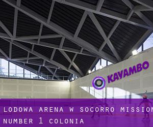 Lodowa Arena w Socorro Mission Number 1 Colonia