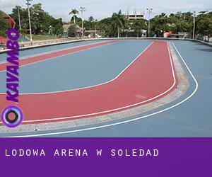 Lodowa Arena w Soledad