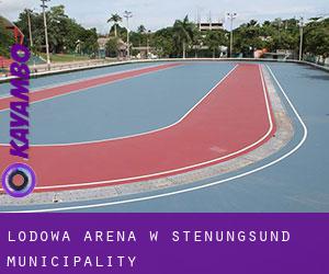 Lodowa Arena w Stenungsund Municipality