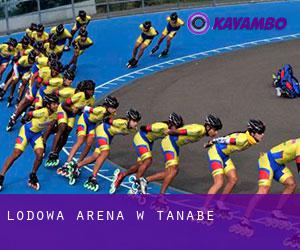 Lodowa Arena w Tanabe