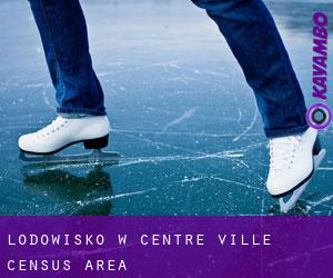 Lodowisko w Centre-Ville (census area)