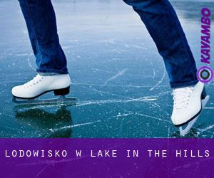 Lodowisko w Lake in the Hills
