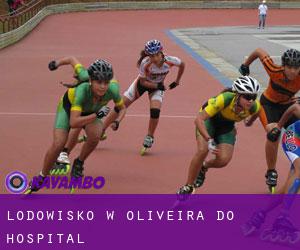 Lodowisko w Oliveira do Hospital