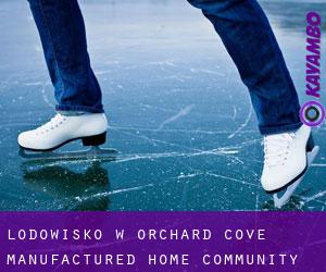 Lodowisko w Orchard Cove Manufactured Home Community