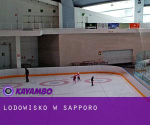 Lodowisko w Sapporo