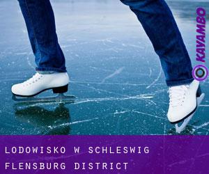 Lodowisko w Schleswig-Flensburg District