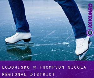 Lodowisko w Thompson-Nicola Regional District