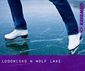 Lodowisko w Wolf Lake