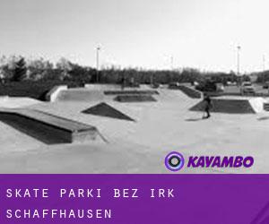 Skate Parki bez irk Schaffhausen
