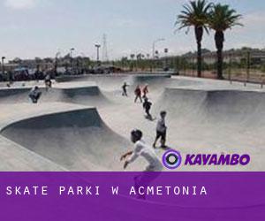 Skate Parki w Acmetonia
