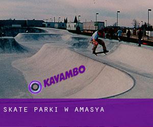 Skate Parki w Amasya