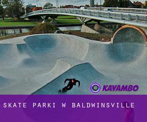 Skate Parki w Baldwinsville