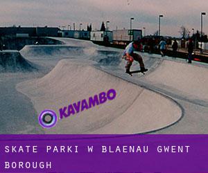 Skate Parki w Blaenau Gwent (Borough)