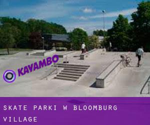 Skate Parki w Bloomburg Village
