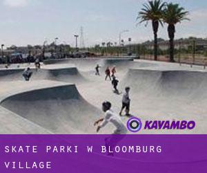 Skate Parki w Bloomburg Village