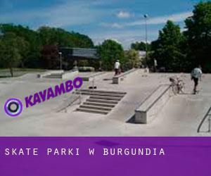 Skate Parki w Burgundia