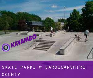 Skate Parki w Cardiganshire County