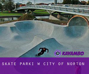 Skate Parki w City of Norton