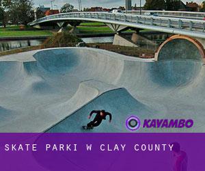 Skate Parki w Clay County