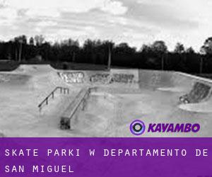Skate Parki w Departamento de San Miguel