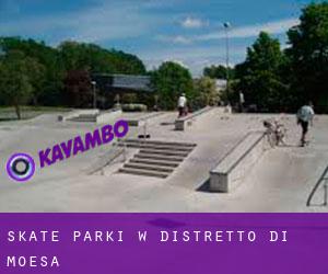 Skate Parki w Distretto di Moesa