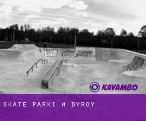 Skate Parki w Dyrøy