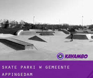 Skate Parki w Gemeente Appingedam