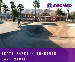 Skate Parki w Gemeente Dantumadiel