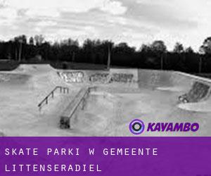 Skate Parki w Gemeente Littenseradiel
