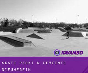Skate Parki w Gemeente Nieuwegein