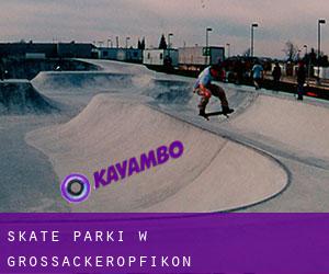 Skate Parki w Grossacker/Opfikon