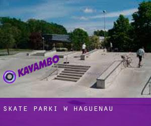 Skate Parki w Haguenau