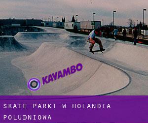 Skate Parki w Holandia Południowa