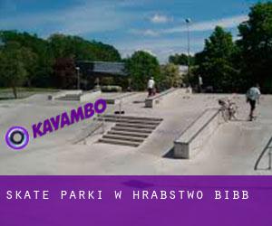 Skate Parki w Hrabstwo Bibb