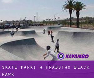 Skate Parki w Hrabstwo Black Hawk