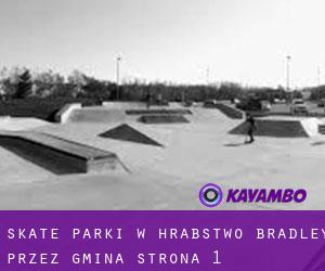 Skate Parki w Hrabstwo Bradley przez gmina - strona 1