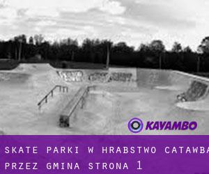 Skate Parki w Hrabstwo Catawba przez gmina - strona 1