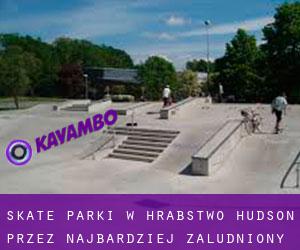 Skate Parki w Hrabstwo Hudson przez najbardziej zaludniony obszar - strona 1