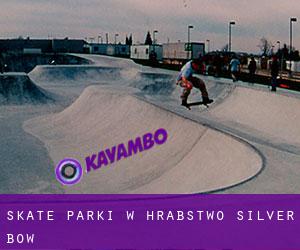 Skate Parki w Hrabstwo Silver Bow