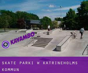 Skate Parki w Katrineholms Kommun