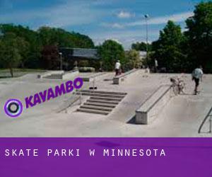 Skate Parki w Minnesota