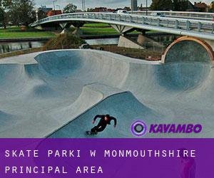 Skate Parki w Monmouthshire principal area