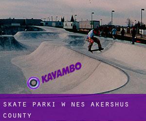 Skate Parki w Nes (Akershus county)