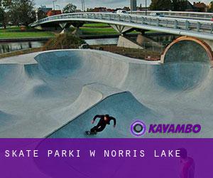 Skate Parki w Norris Lake