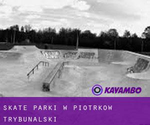 Skate Parki w Piotrków Trybunalski