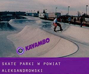 Skate Parki w Powiat aleksandrowski