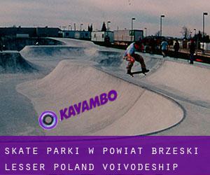 Skate Parki w Powiat brzeski (Lesser Poland Voivodeship)