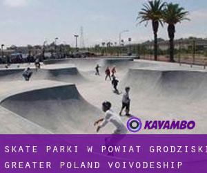 Skate Parki w Powiat grodziski (Greater Poland Voivodeship)