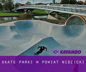 Skate Parki w Powiat nidzicki
