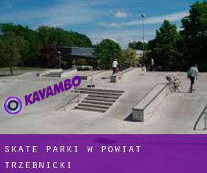 Skate Parki w Powiat trzebnicki